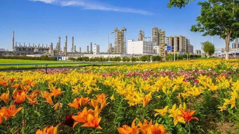 塑料助剂和母料是一回事吗？别再搞混了